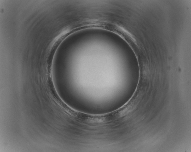X0000077341411200610201247