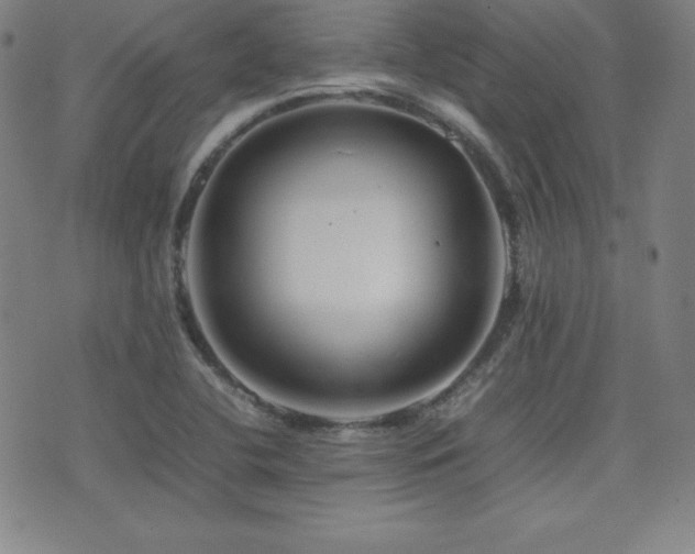 X0000077341412200610201247