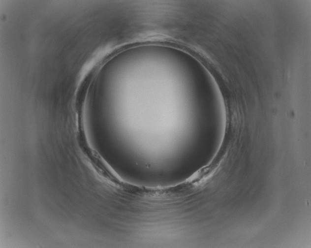 X0000077341414200610201248