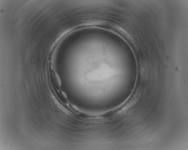 X0000077341417200610201248