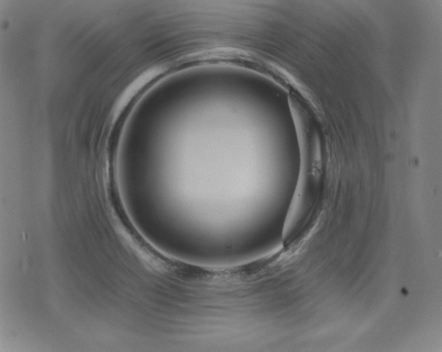 X0000077341418200610201248
