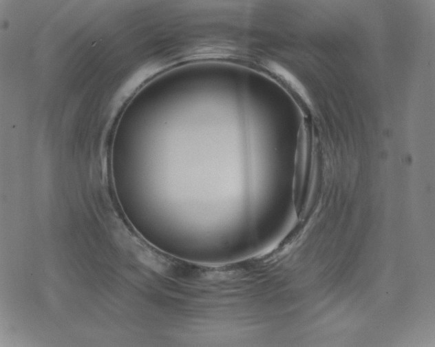 X0000077341419200610201248