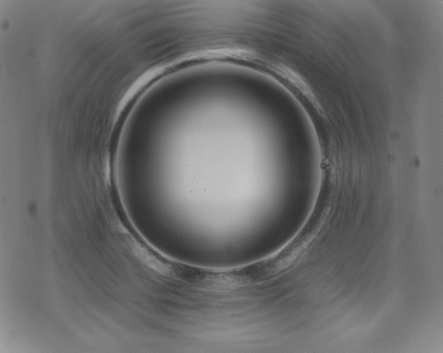 X0000077341420200610201248