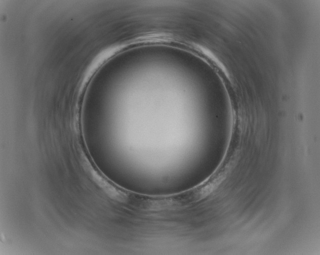X0000077341421200610201248