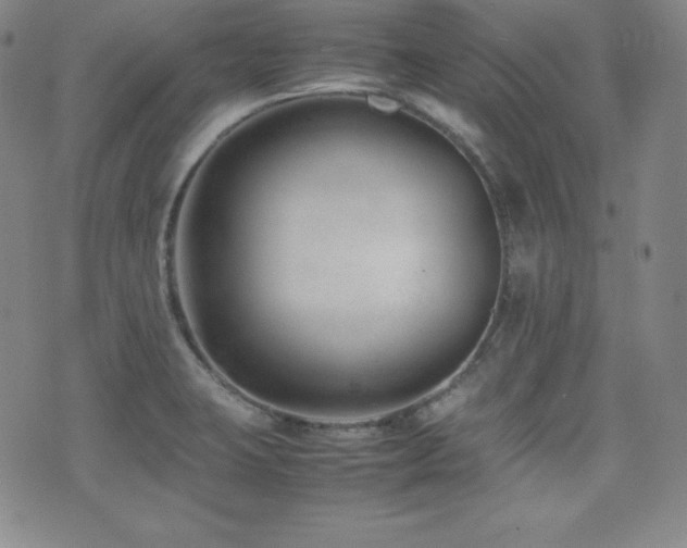X0000077341423200610201248