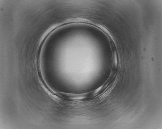 X0000077341438200610201248