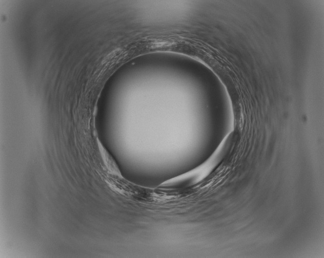 X0000077341441200610201247
