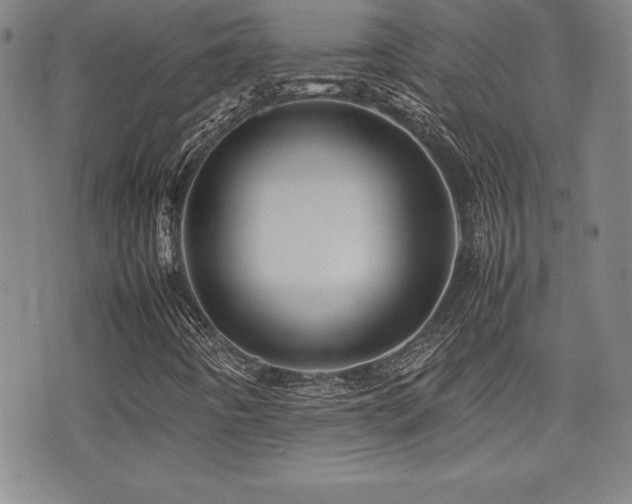 X0000077341442200610201247