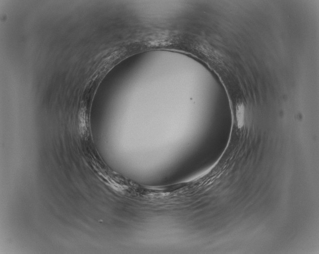X0000077341444200610201247