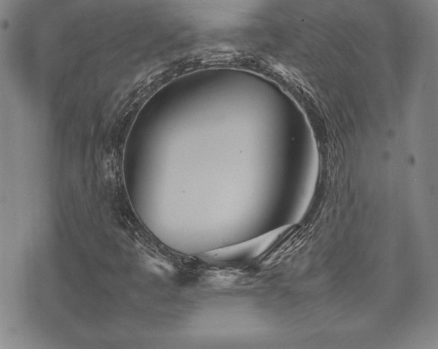 X0000077341445200610201247