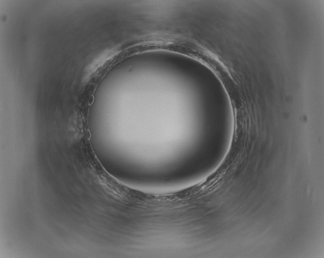 X0000077341448200610201247