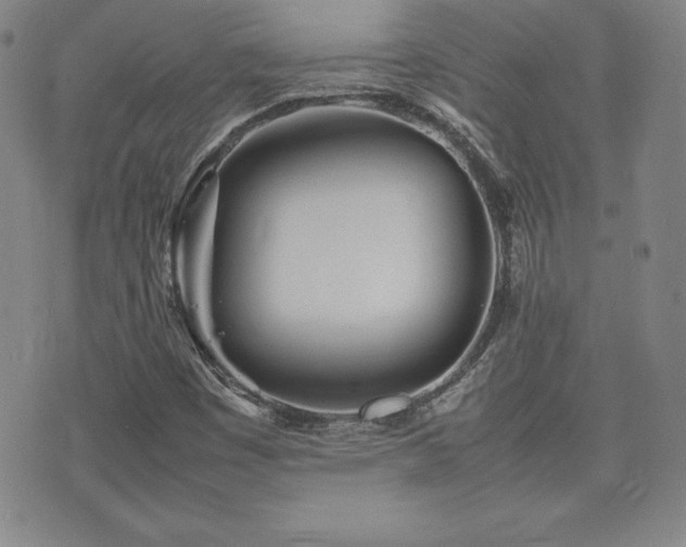 X0000077341449200610201247