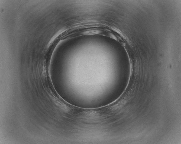 X0000077341450200610201247