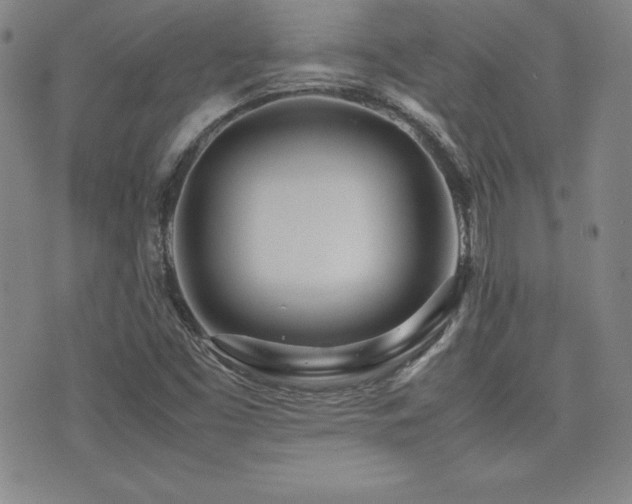 X0000077341453200610201247