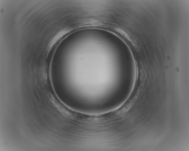 X0000077341458200610201247