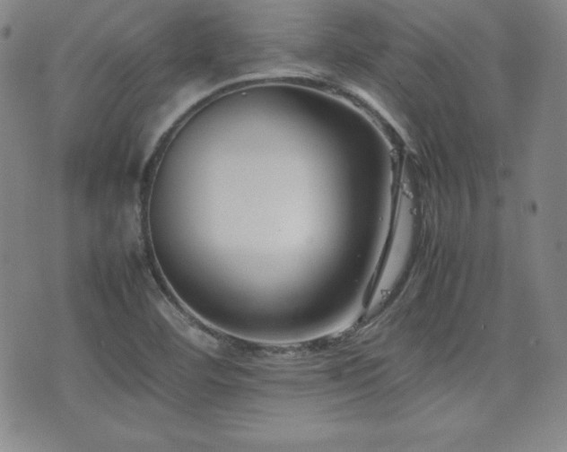 X0000077341460200610201247