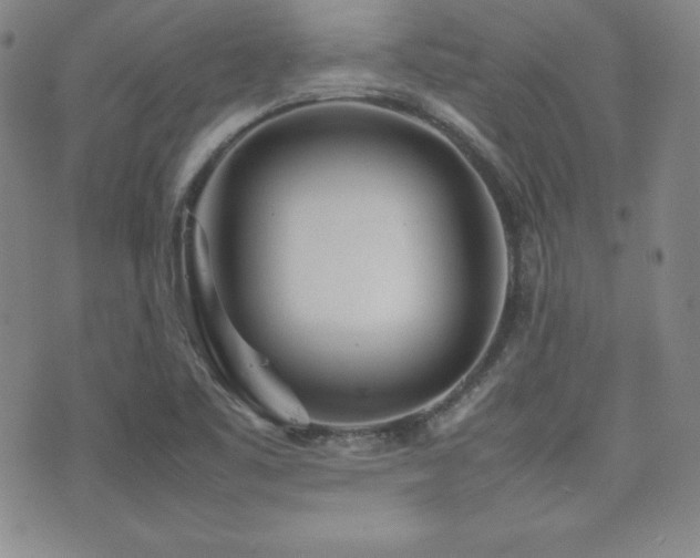 X0000077341461200610201247
