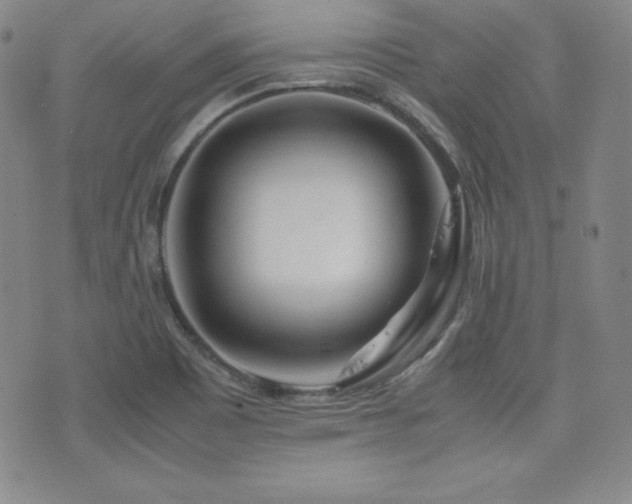 X0000077341465200610201247