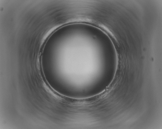 X0000077341468200610201247