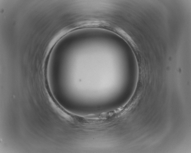 X0000077341475200610201247