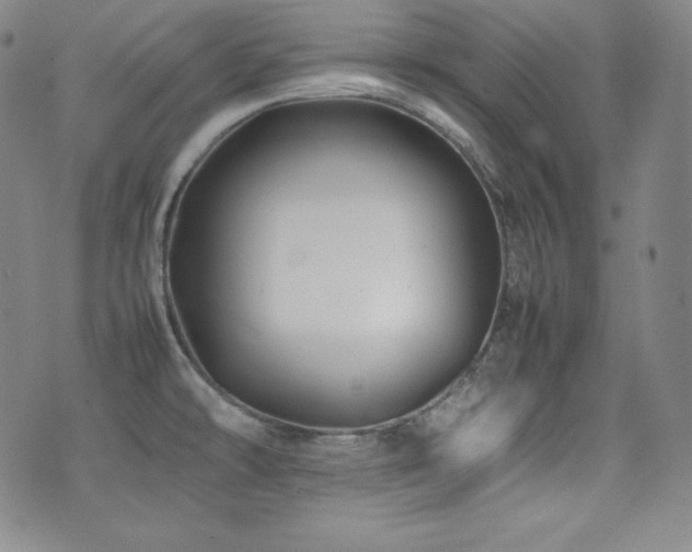 X0000077341478200610201247
