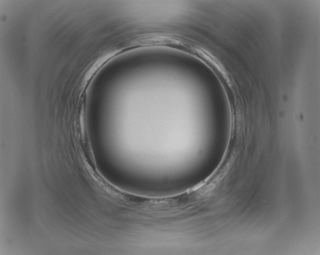 X0000077341481200610201246