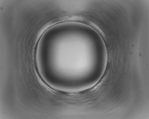 X0000077341483200610201246