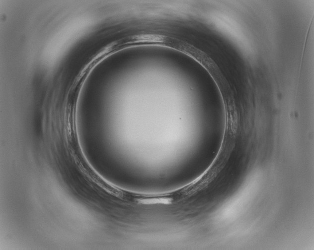X0000077341487200610201246