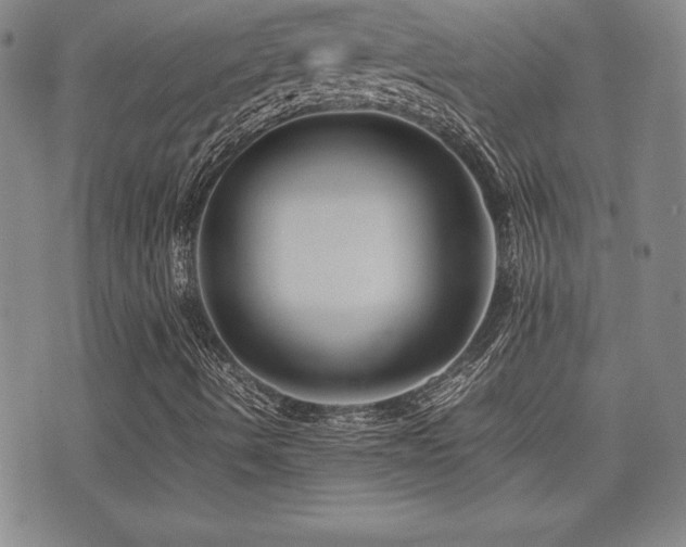 X0000077341490200610201246