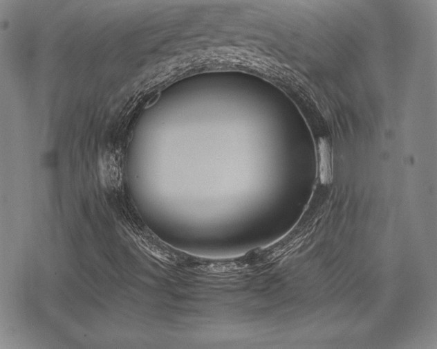 X0000077341491200610201246