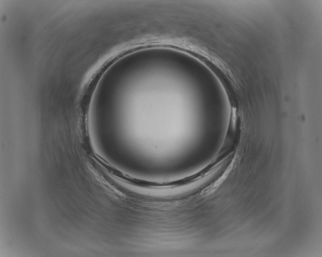 X0000077341502200610201246