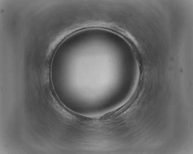 X0000077341504200610201246