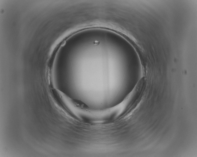 X0000077341510200610201246