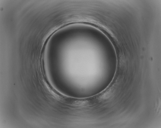X0000077341513200610201246