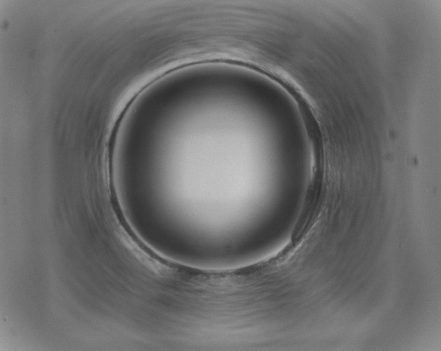 X0000077341516200610201246