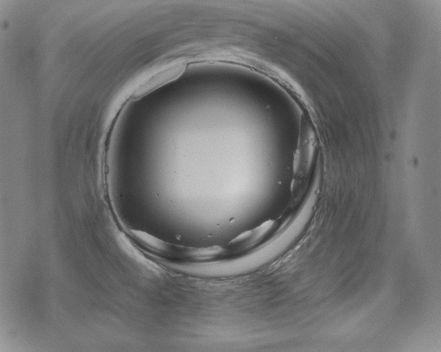 X0000077341528200610201246