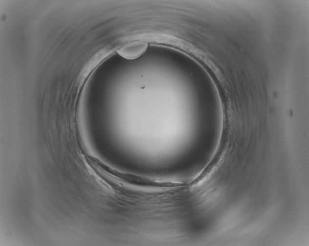 X0000077341529200610201246