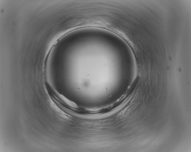 X0000077341532200610201246