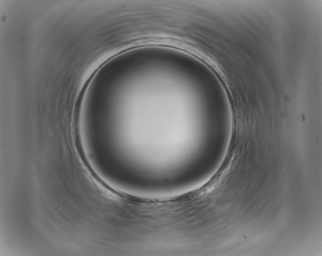 X0000077341533200610201246