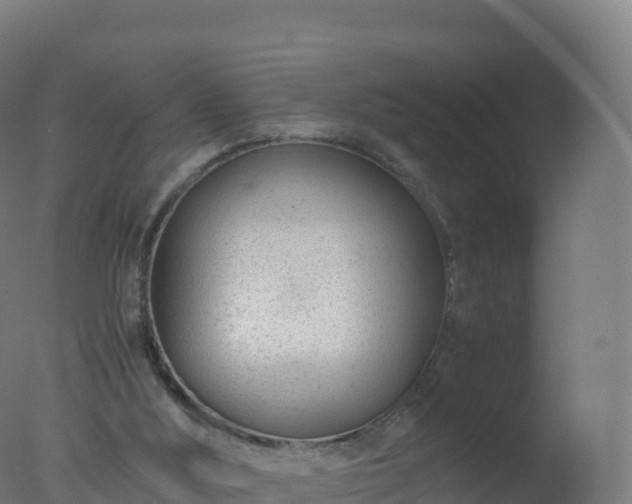 X0000077340012200610271814