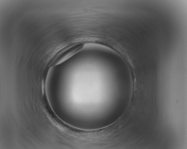 X0000077340013200610271814