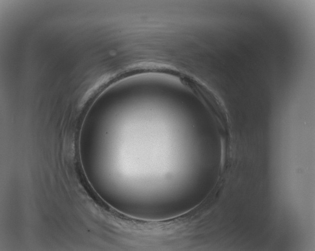 X0000077340015200610271814