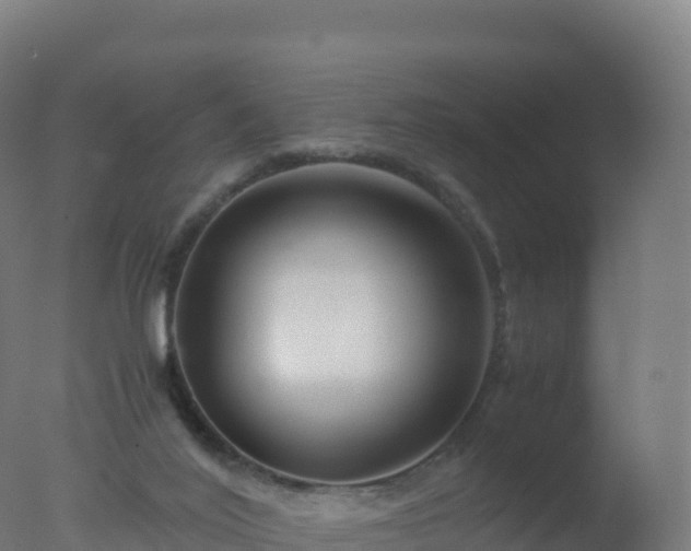 X0000077340020200610271814