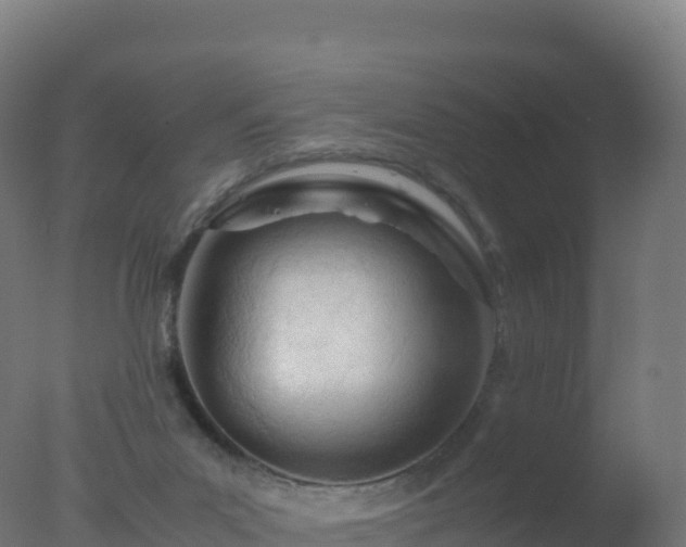 X0000077340023200610271814