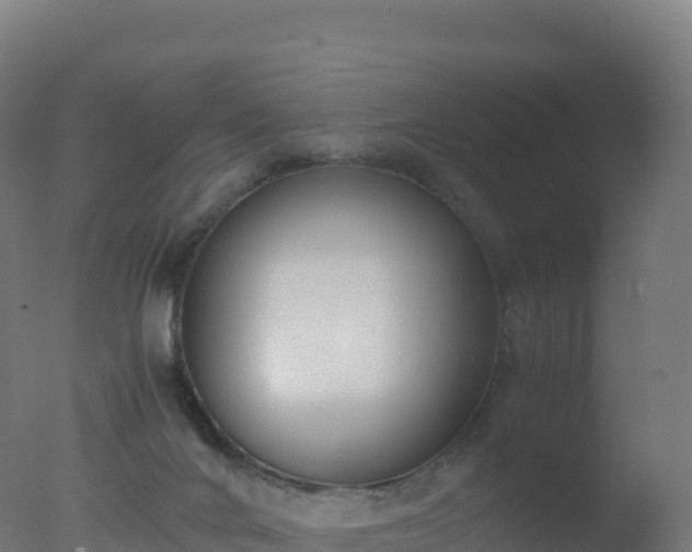 X0000077340024200610271814