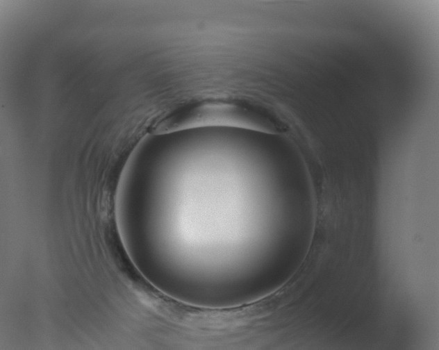 X0000077340025200610271814
