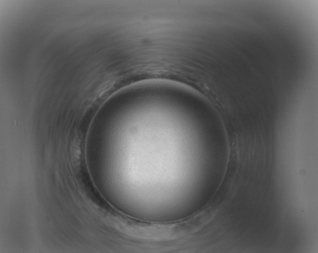 X0000077340032200610271814