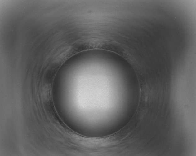 X0000077340034200610271814
