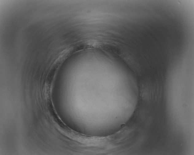 X0000077340036200610271814