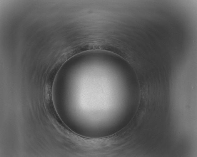 X0000077340038200610271814